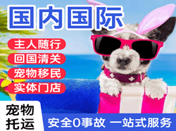丽江三义机场邮寄国际宠物托运 【国